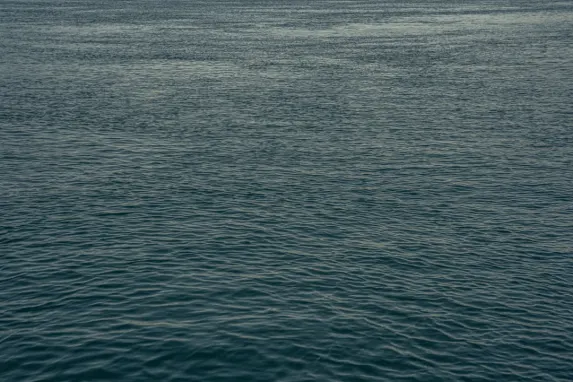 Casino Jackpot Molly Stuðningur